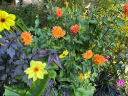 Lại phải tự nhủ