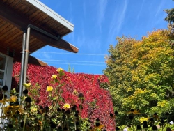 Mùa thu Jinggangshan