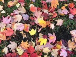 Triết lý cũ kỹ