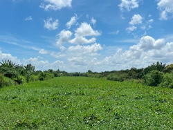 Đất quê gọi mùa