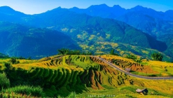 Tháng 5 về miền hoa ban