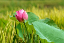 Thứ quý giá nhất