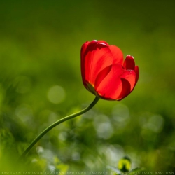 Hãy lưu tâm về những điều nhỏ nhặt