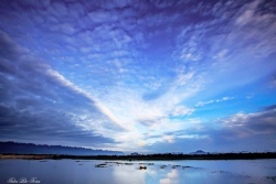 Tựa sương đêm