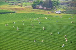 Viết cho một lần đưa tiễn