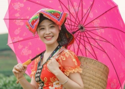 Lấy được vợ tiên
