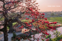 Mùa hoa tục ngữ