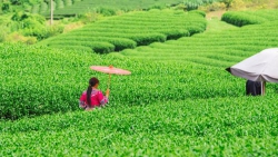 Không có việc hằng ngày sẽ không có cuộc sống tuyệt vời