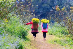 Tây Bắc hội mùa