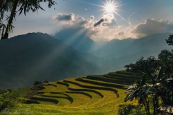 Chớm Đông