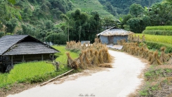 Ngõ vắng