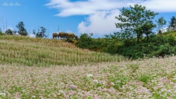 Tháng Năm