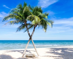 Có lẽ chỉ thế này thôi