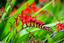 Điều quan trọng của cuộc sống