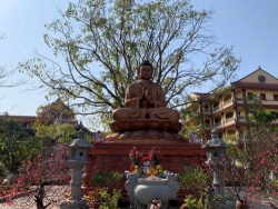 SUY NGẪM VỀ CUỘC ĐỜI