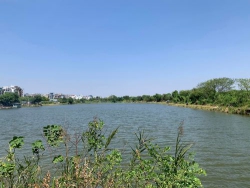 Long Xuyên