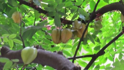 Trẻ... Già