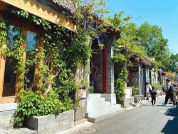 Phía trước là bức tường