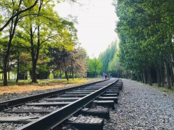 Tuổi này thì còn làm được gì?