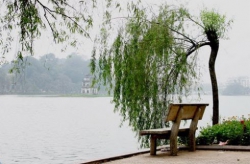 Chờ