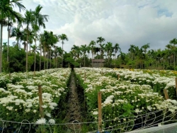 Người trung thực
