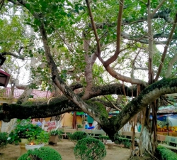 Điểm đón an toàn