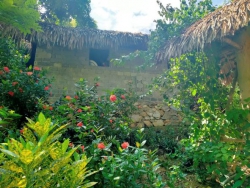 Nén tâm hương