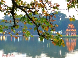 Cuối thu 3