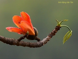 Một điều ước