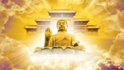 Hãy làm cho tâm của bạn chứa đầy sự từ bi