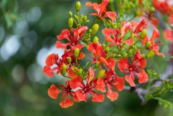 Gặp gỡ... chia tay