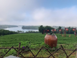Ký ức con đường