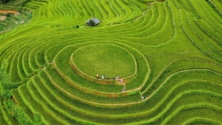 Thơ với thực