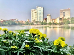 Phố cũ