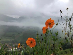 Tình yêu ngày đó