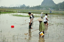 Mùa rươi