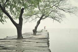 Mưa tháng Bảy