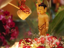 Tắm Phật