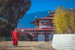 Tây Tạng huyền bí: Hòa thượng tái sinh