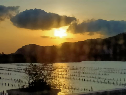 Vạn lý đồng phong