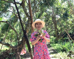 Thương lắm một miền quê