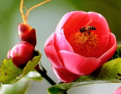 Hãy yêu anh