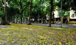 Nửa chừng mưa
