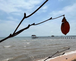 Về với em thôi
