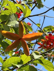 Ngẫm
